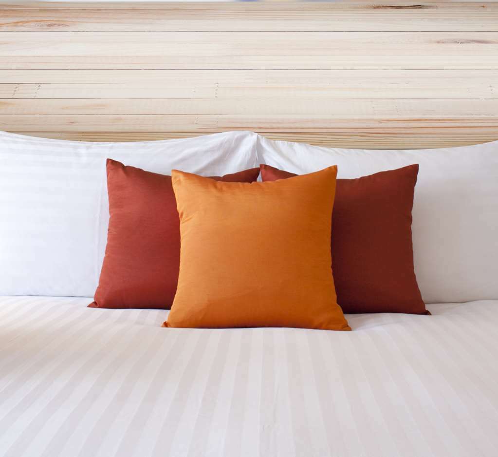 Econo Lodge Inn & Suites Sweetwater Chambre photo
